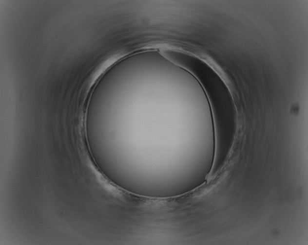 X0000091660909200708230947