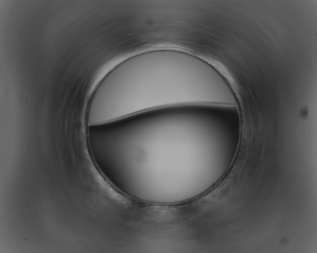 X0000091660910200708230947
