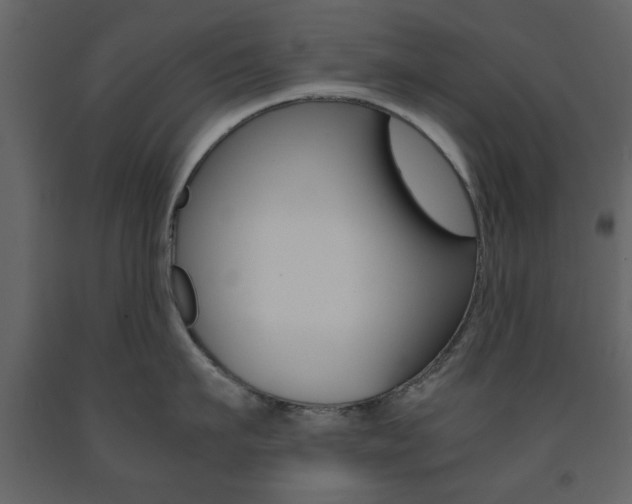 X0000091660911200708230947
