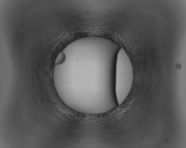 X0000091660913200708230947