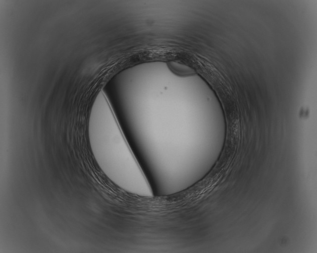 X0000091660914200708230947