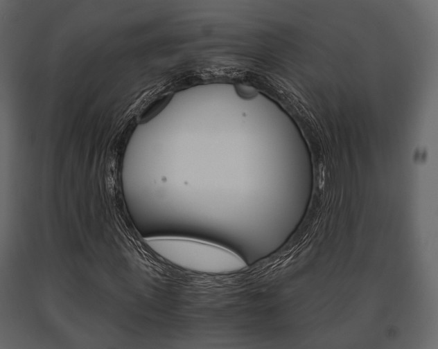 X0000091660915200708230947
