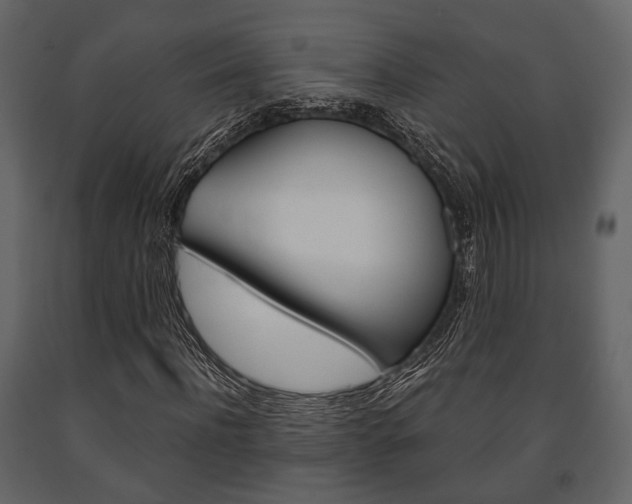 X0000091660916200708230947