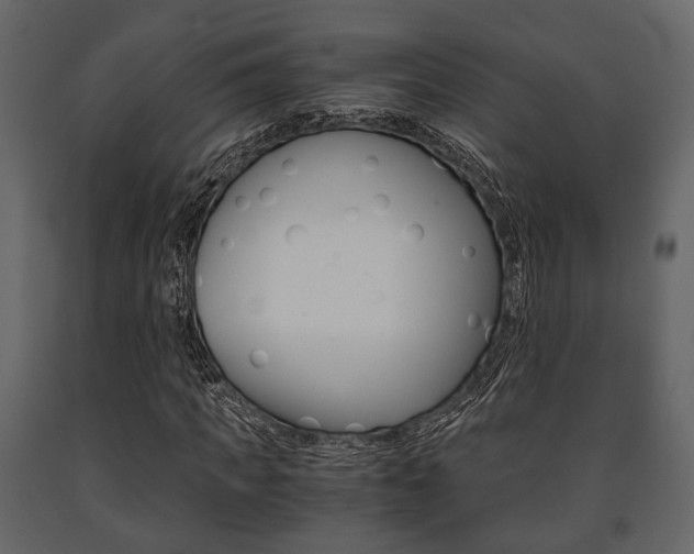 X0000091660917200708230947