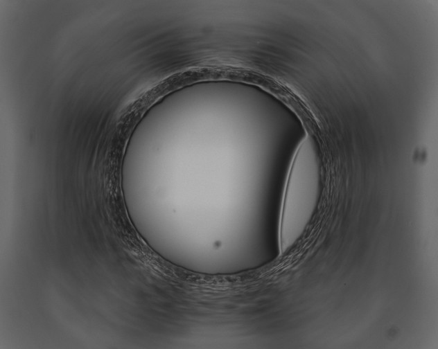 X0000091660919200708230947