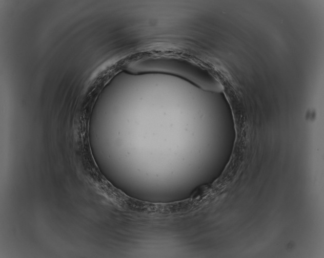 X0000091660920200708230947