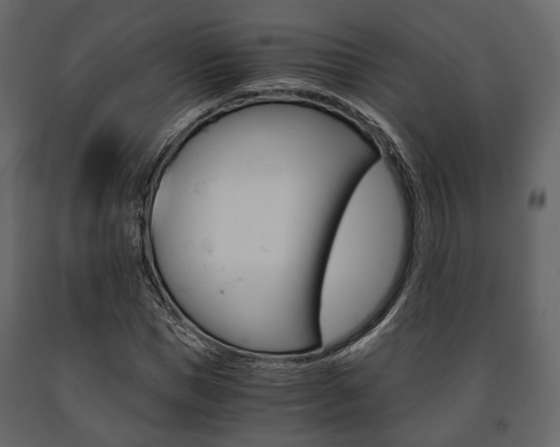 X0000091660921200708230947