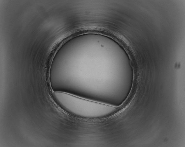 X0000091660922200708230947