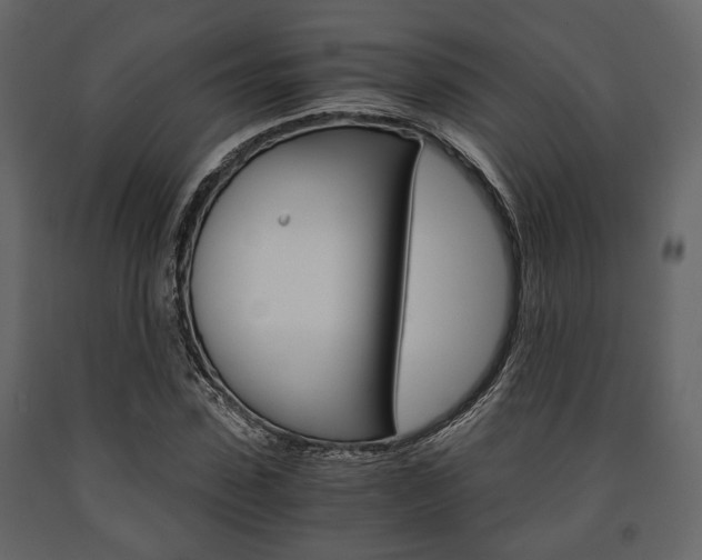 X0000091660923200708230947