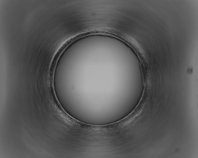 X0000091660924200708230947