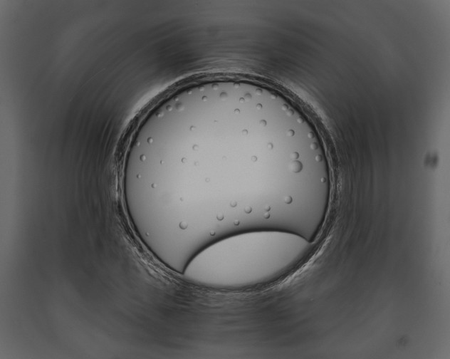 X0000091660925200708230947