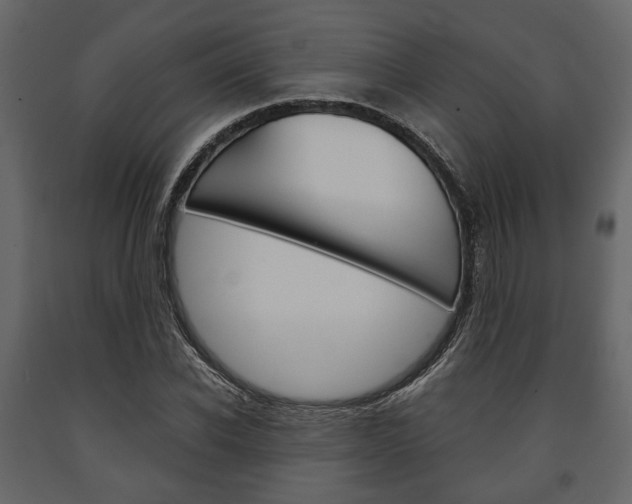 X0000091660926200708230947