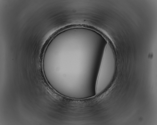 X0000091660927200708230947