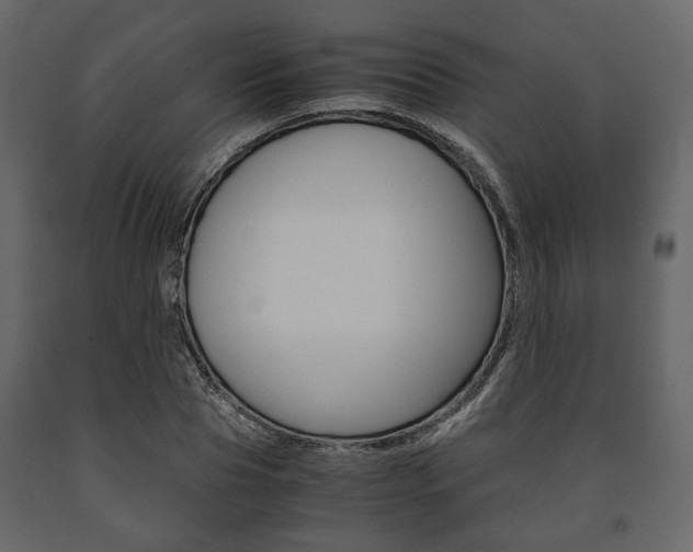 X0000091660929200708230947