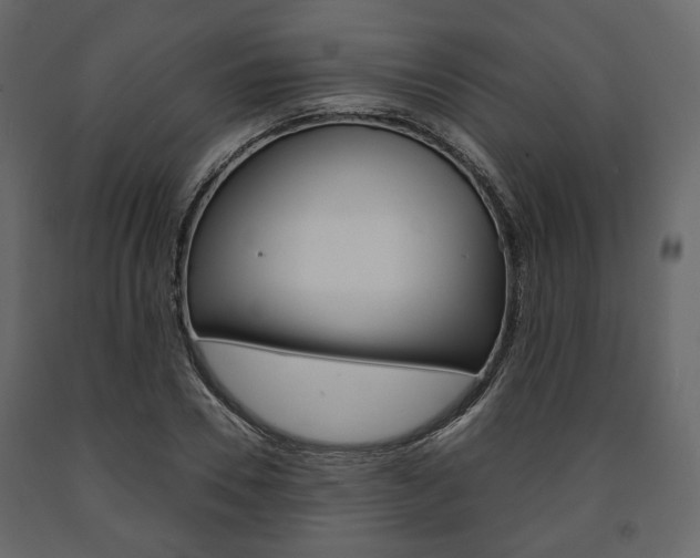 X0000091660930200708230947