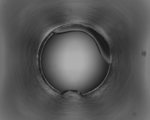 X0000091660932200708230947