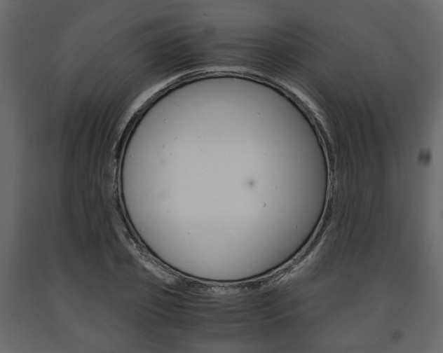X0000091660933200708230947