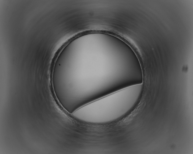 X0000091660935200708230947