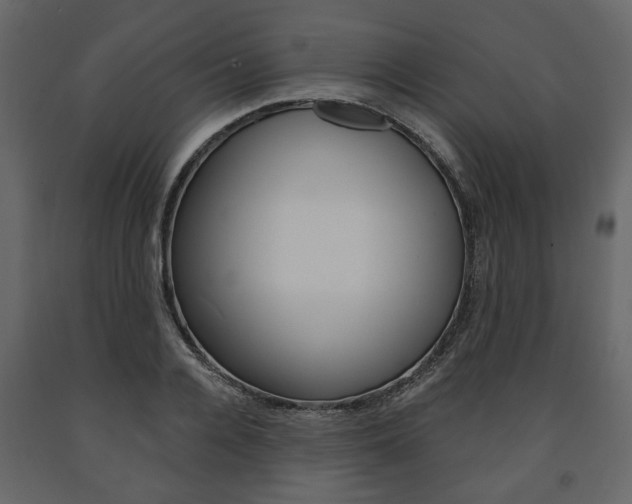 X0000091660936200708230947