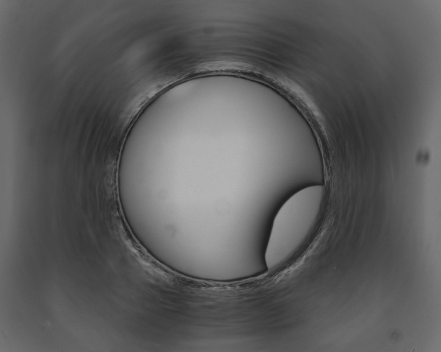 X0000091660937200708230947