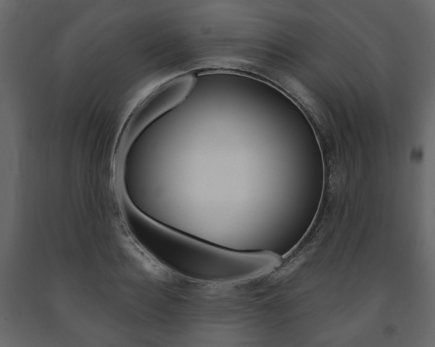 X0000091660940200708230947