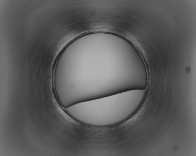 X0000091660941200708230947
