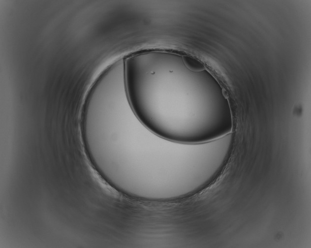 X0000091660942200708230947