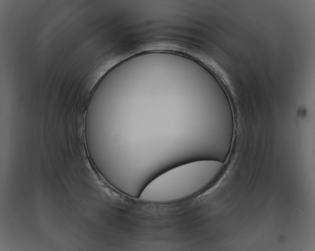X0000091660945200708230947
