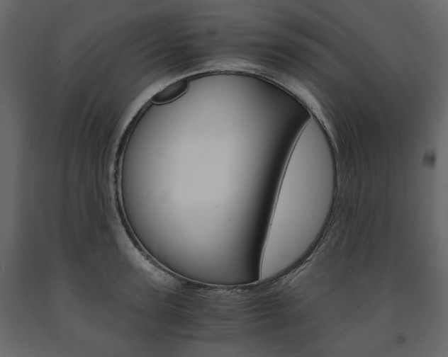 X0000091660947200708230947
