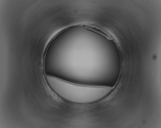 X0000091660948200708230947