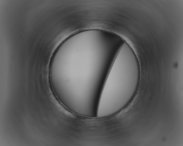 X0000091660949200708230947