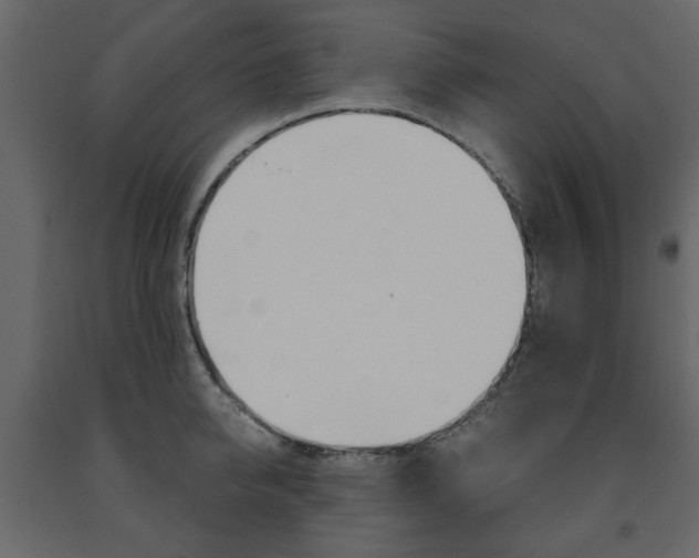 X0000091660950200708230947