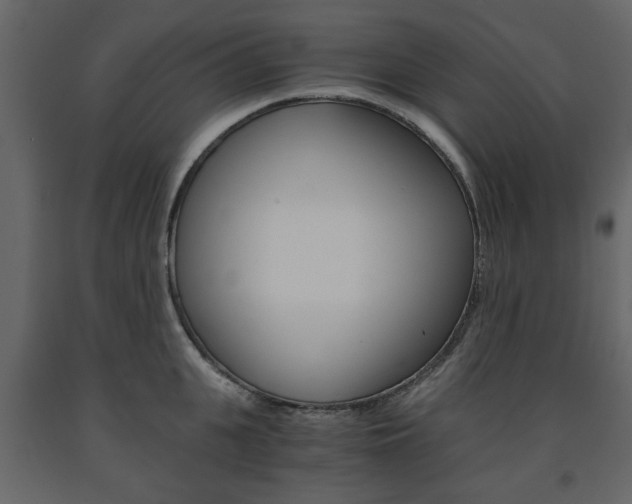 X0000091660951200708230947