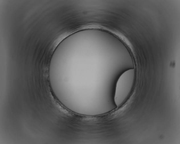 X0000091660953200708230947