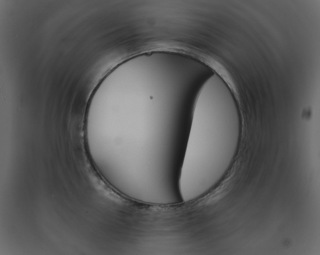 X0000091660954200708230947