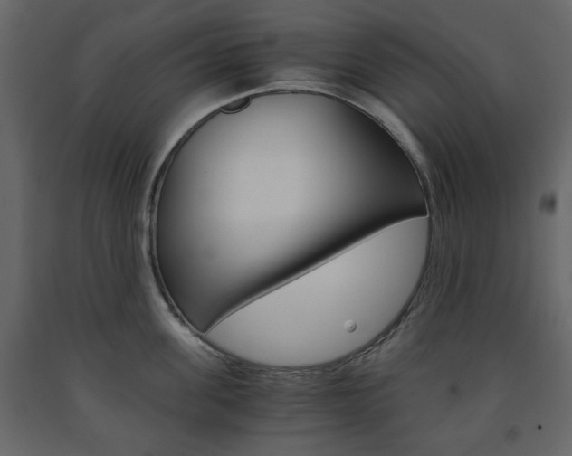 X0000091660955200708230947