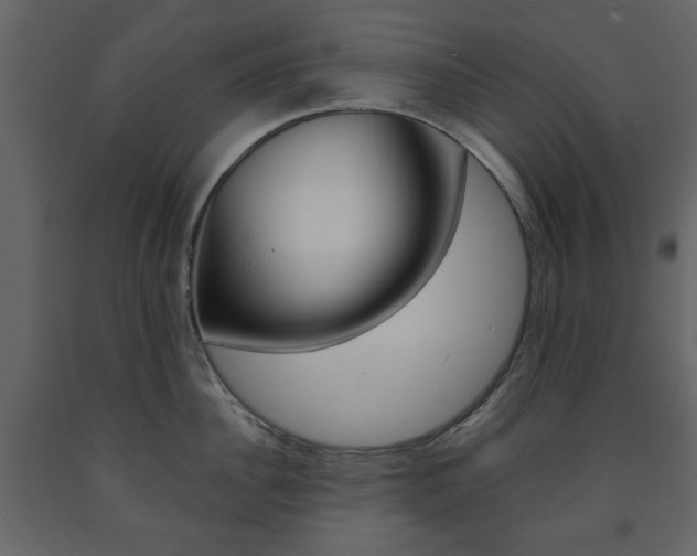 X0000091660956200708230947