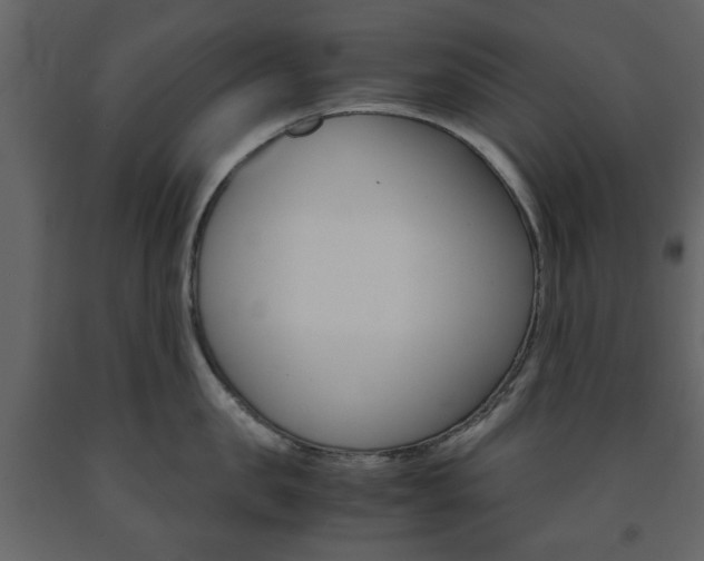 X0000091660957200708230947