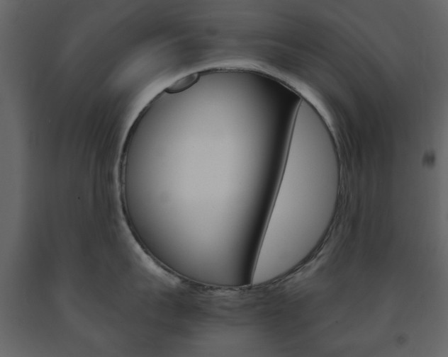 X0000091660959200708230947