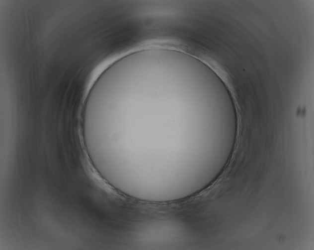 X0000091660960200708230947