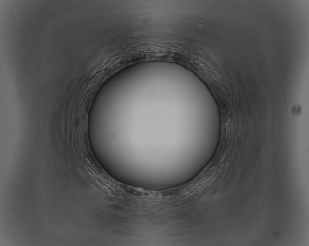 X0000091660961200708230947