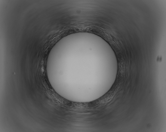 X0000091660962200708230946