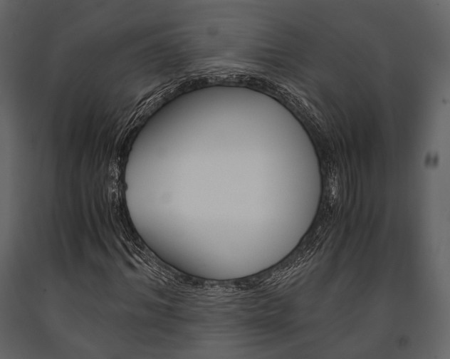 X0000091660964200708230946