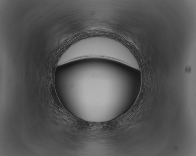 X0000091660965200708230946