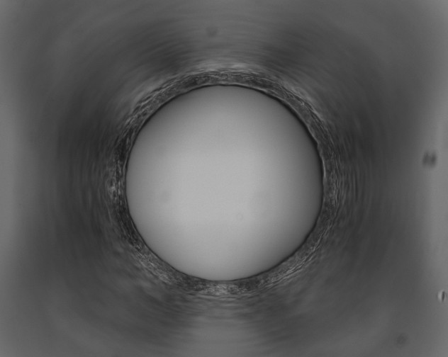 X0000091660966200708230946