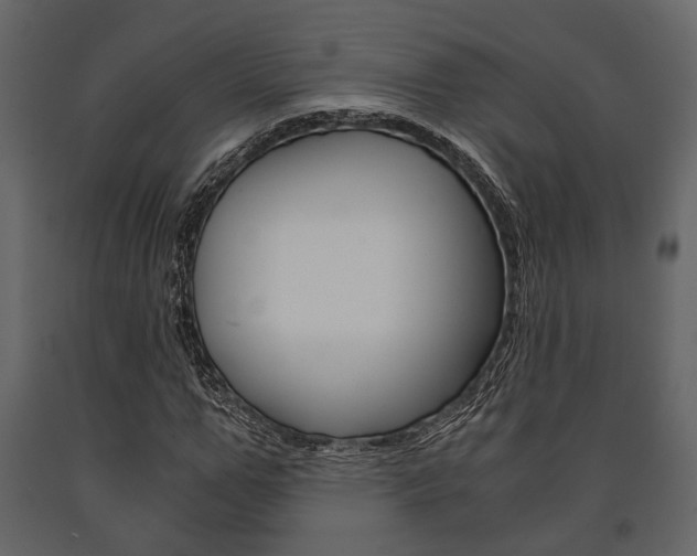 X0000091660967200708230946