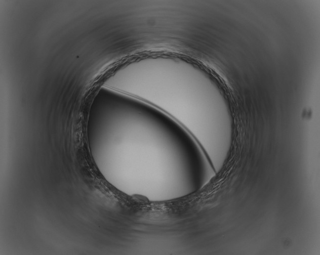 X0000091660968200708230946