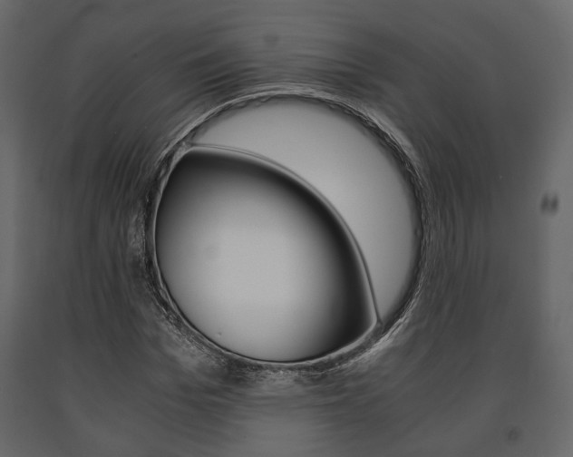 X0000091660969200708230946
