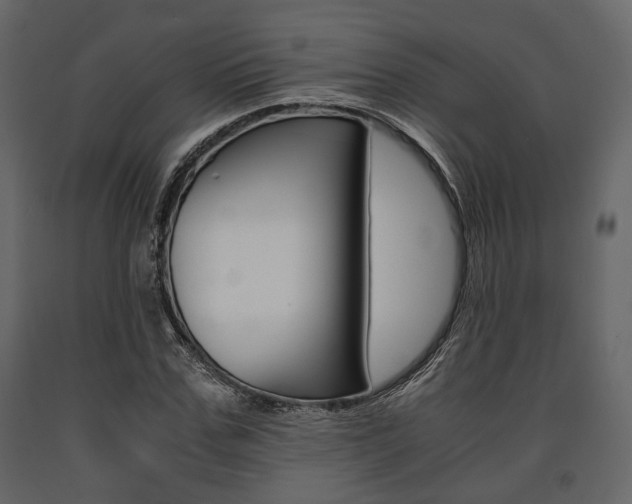 X0000091660971200708230946
