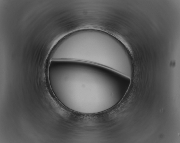 X0000091660972200708230946